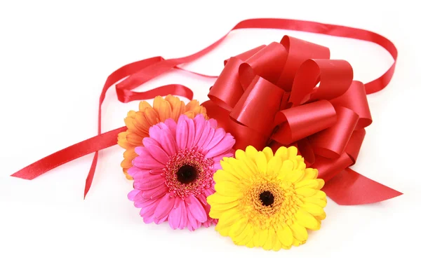 Gerberas flowers and red ribbon Stock Image