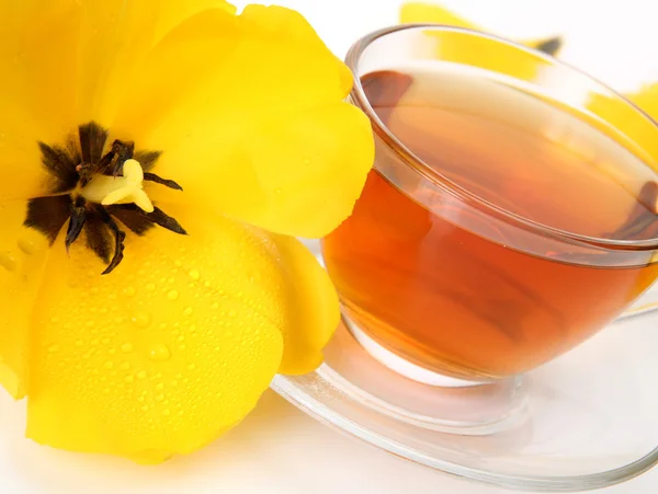 Чай и желтый тюльпан — стоковое фото
