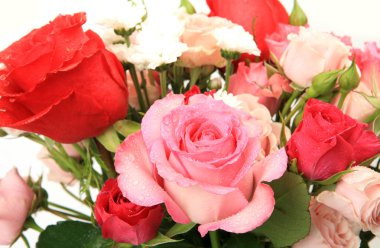 Bir buket güzel gül.