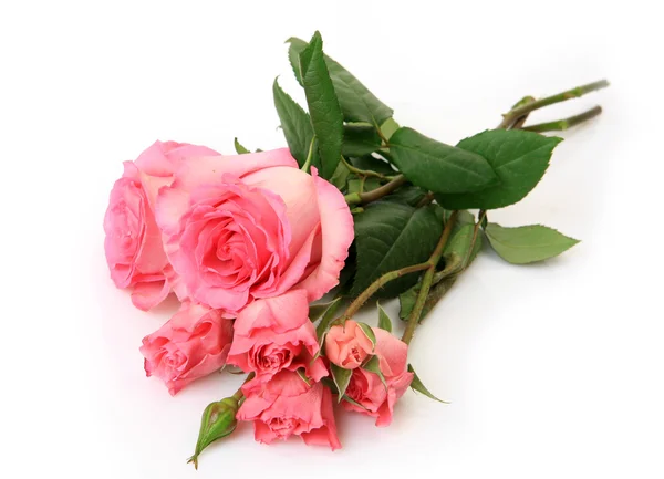 Strauß schöner Rosen — Stockfoto