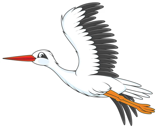 Cigüeña blanca volando — Vector de stock
