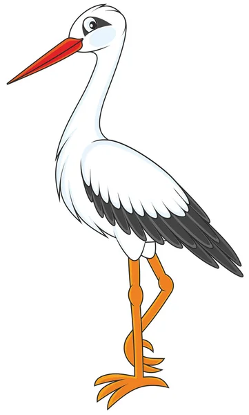 European White stork — Stock Vector