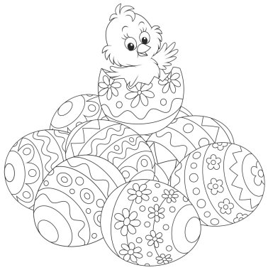 küçük Paskalya piliç