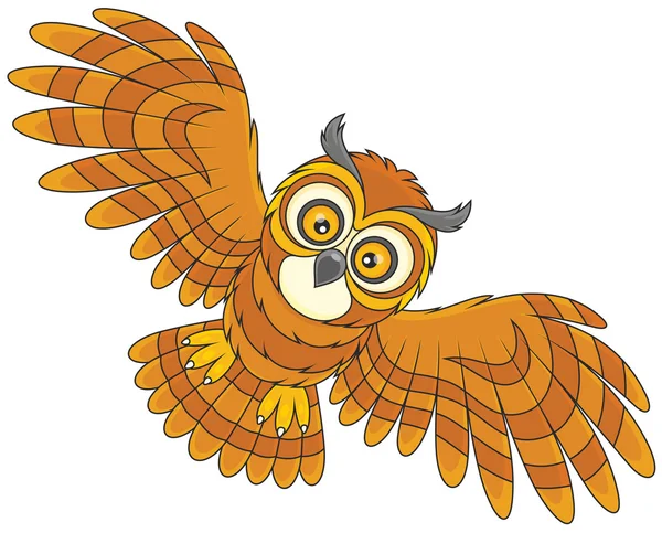 Night owl flying — Stock Vector