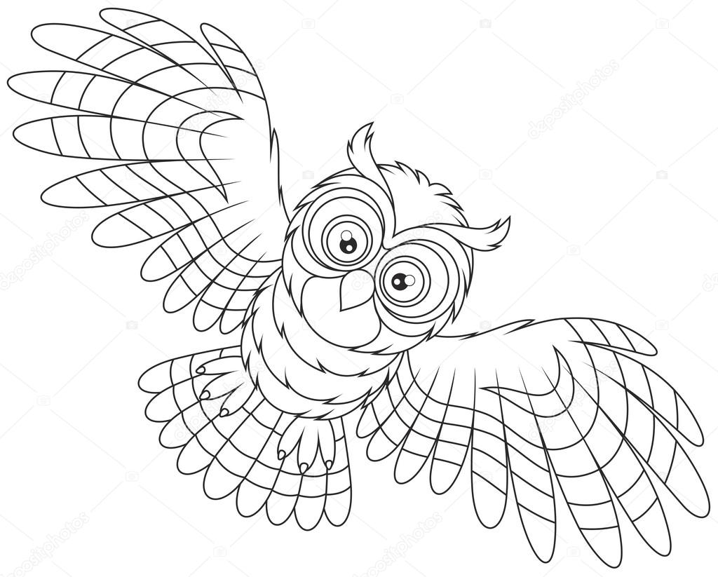 Night owl flying Stock Vector by ©AlexBannykh 105588200, image size:1024x823