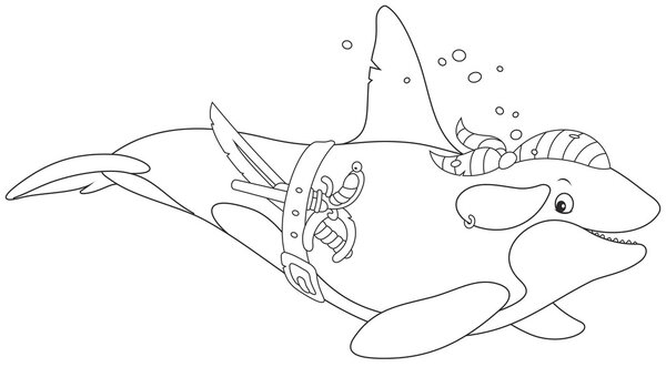 Killer whale pirate