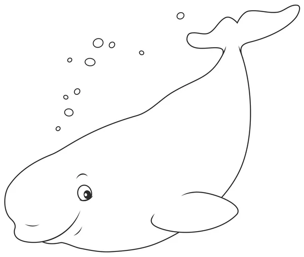 Beluga Walvis zwemmen — Stockvector