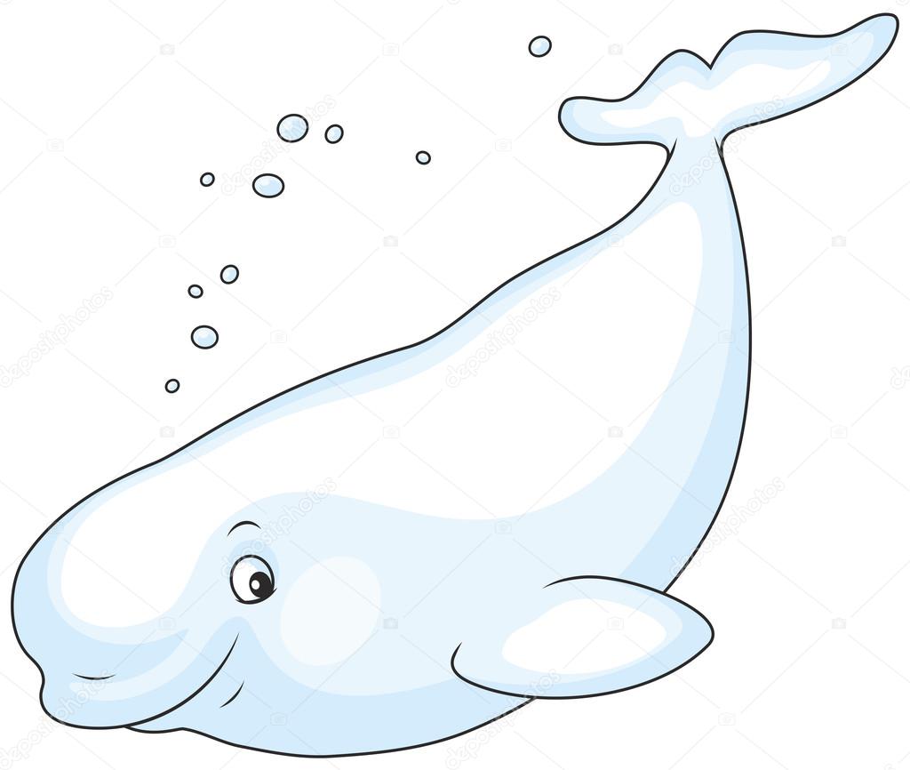 Beluga whale swimming Stock Vector Image by ©AlexBannykh #113028226