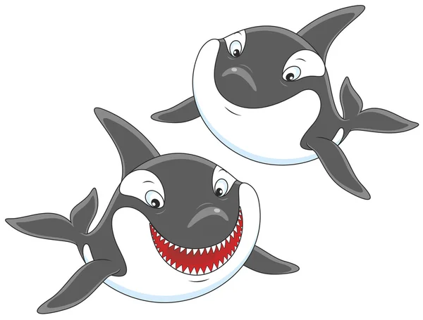 Killer whales swimming — Stock Vector