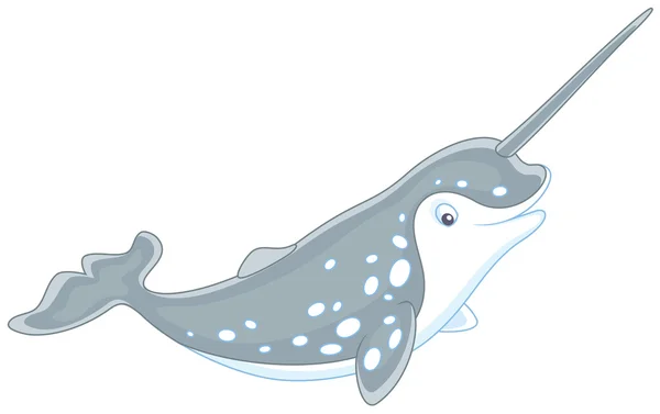 Arctic narwhal swimming — Stock Vector