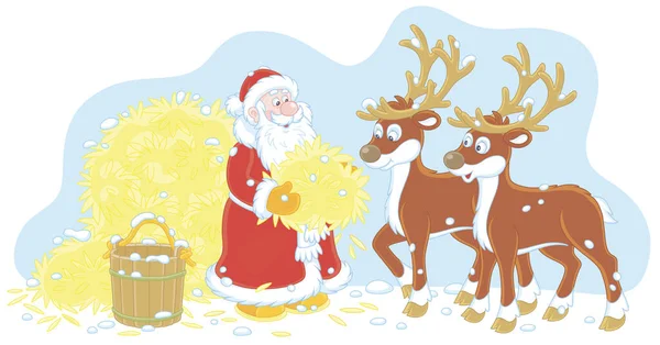 Santa Claus Feeding Reindeer Tasty Hay His Magic Journey World — Stock Vector