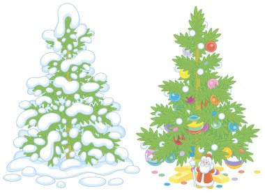Kış ormanındaki karlı yeşil köknar ve renkli topları, çelenkleri ve dikenli dalların altında küçük bir Noel Baba olan süslü Noel ağacı, vektör çizimleri.