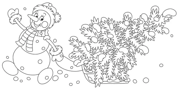 Desenhos de Natal para colorir e coloridos para imprimir  Snowman coloring  pages, Printable christmas coloring pages, Coloring pages winter