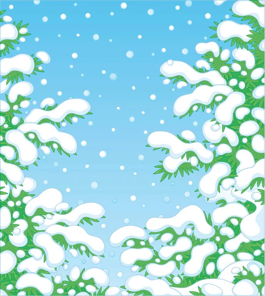 Ramas Abeto Verde Espinoso Cubiertas Nieve Bosque Blanco Invierno Hermoso — Archivo Imágenes Vectoriales