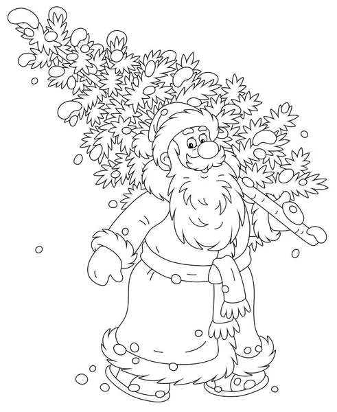 Santa Claus Carrying Prickly Fir Tree Snowy Winter Forest Decorate Stock Vector