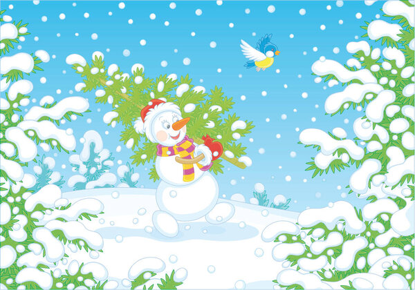 Дружелюбный улыбающийся снеговик в красной шляпе, теплый шарф и рукавицы, несущие колючую зеленую ель из снежного зимнего леса, чтобы украсить ее на Рождество и Новый год