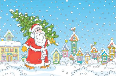 Noel Baba küçük, güzel bir kasabanın karlı bir caddesinde yürüyor ve Noel ve yeni yıl için onu süslemek için bir kış ormanından dikenli bir köknar taşıyor.