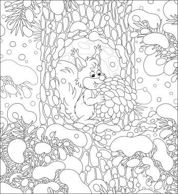 Fluffy little squirrel with a big pine cone at home in a cozy hollow on a snow-covered tree in a thicket of a snowy wild forest on a cold winter day, black and white vector cartoon clipart