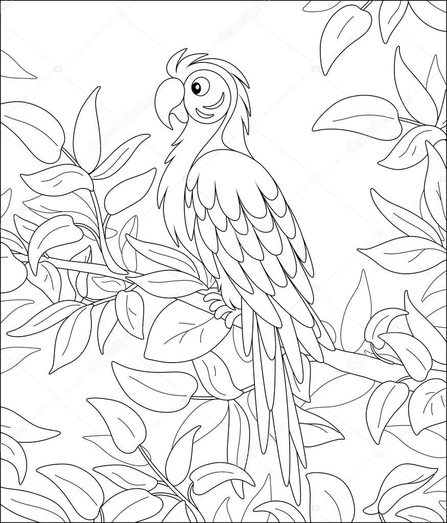 Amusing long-tailed parrot macaw with a striped plumage, perched among leaves on a tree branch in a tropical jungle, wild scenery, black and white vector cartoon illustration
