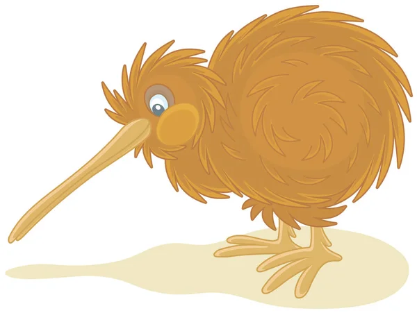 Amusing Flightless New Zealand Kiwi Bird Shaggy Feathers Long Bill — Stock Vector