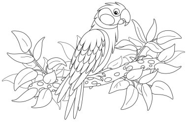 Tropikal bir ormanda ağaç dalına tünemiş komik bir papağan, bir boyama kitabı sayfası için siyah beyaz çizgili vektör karikatürü çizimi