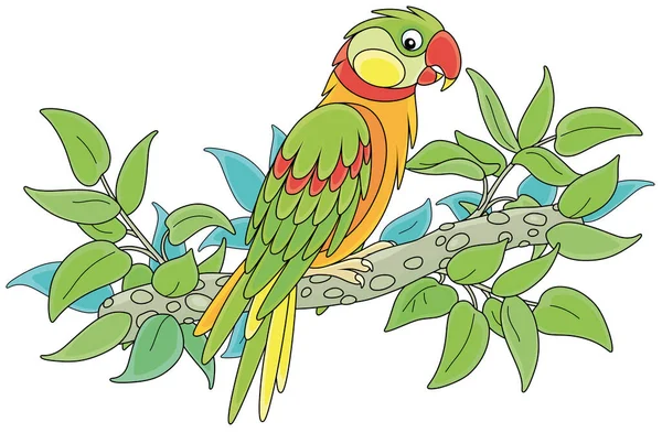 Divertido Loro Colorido Encaramado Una Rama Árbol Verde Una Selva — Vector de stock