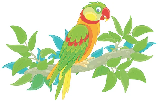 Zabawna Kolorowa Papuga Długoogonowa Jasnym Upierzeniem Siedząca Zielonej Gałęzi Drzewa — Wektor stockowy