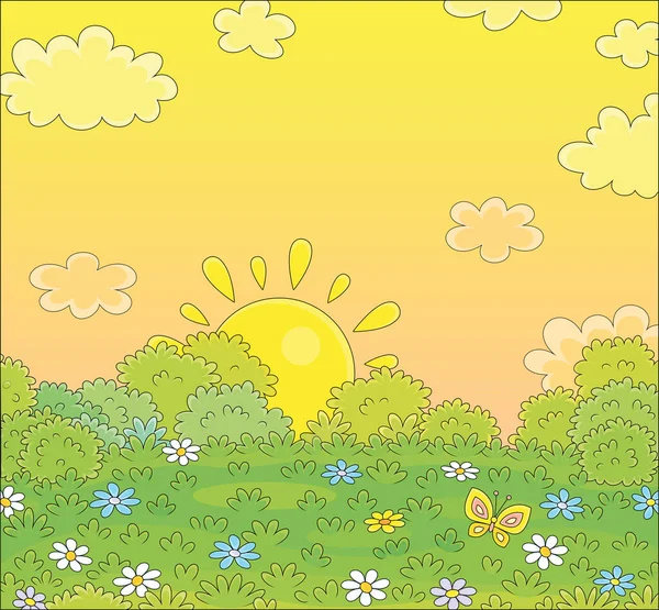 在一个美丽温暖的夜晚 明亮的黄日落在美丽的绿色田野上 野花五彩斑斓 蝴蝶扑面而来 — 图库矢量图片
