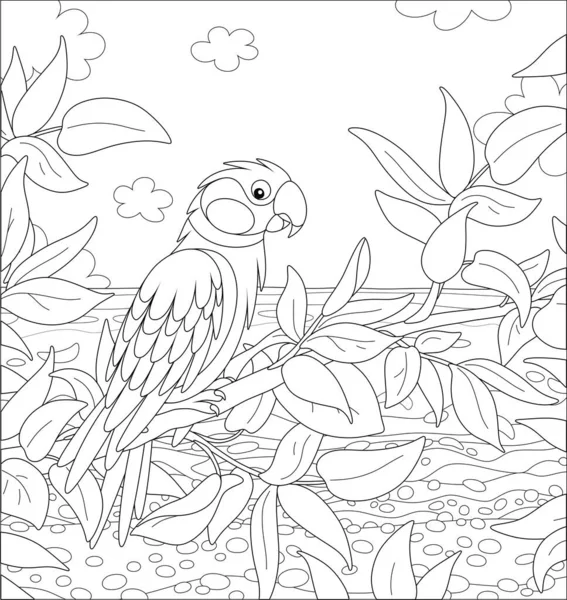 Забавный Попугай Сидящий Ветке Дерева Тропических Джунглях Экзотического Южного Острова — стоковый вектор