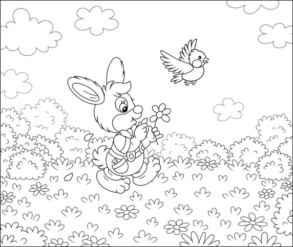 매혹적 토끼가 데이지를 아름다운 들판의 있습니다 아름다운 윤곽의 만화를 그리며 로열티 프리 스톡 일러스트레이션