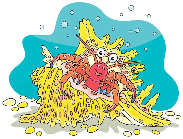 Краб Отшельник Причудливой Раковине Яркими Пятнами Тропическом Рифе Южном Море — стоковый вектор