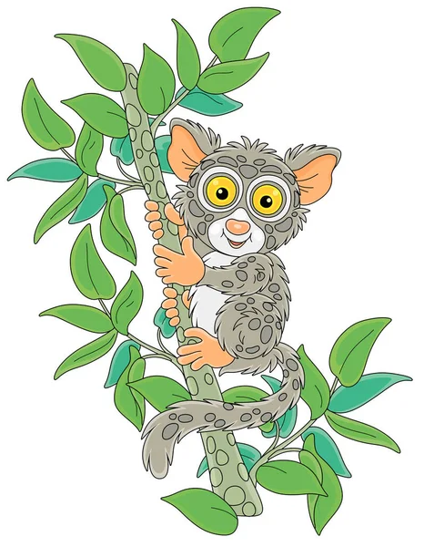 Komik Küçük Filipinli Tarsier Ağaçta Yaşayan Egzotik Primat Çok Büyük — Stok Vektör