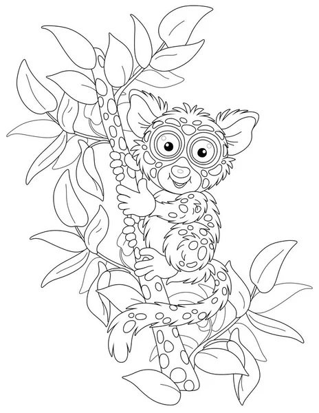 Divertente Piccolo Tarsier Filippino Albero Dimora Primate Esotico Con Occhi Grafiche Vettoriali