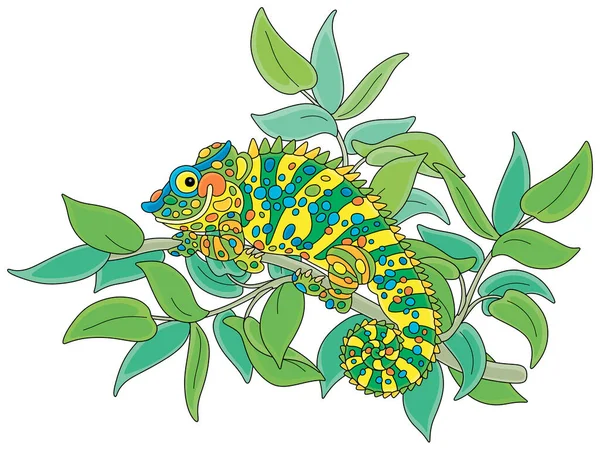 Vtipný Mnohobarevný Chameleon Exotický Ještěr Vystouplýma Očima Prehensilním Ocasem Skrývající — Stockový vektor