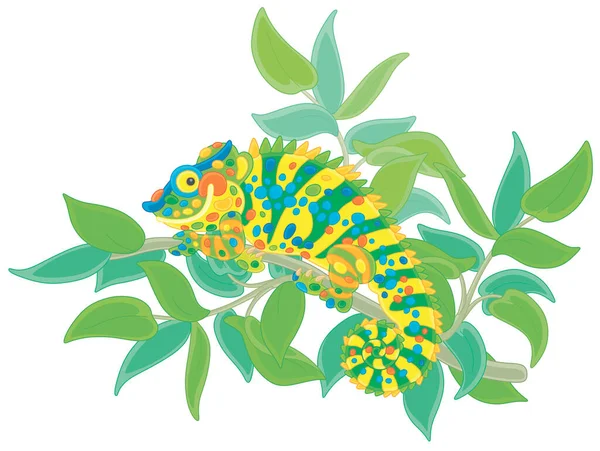 有趣的多色变色龙 奇异的蜥蜴 长着突出的眼睛和令人毛骨悚然的尾巴 隐藏在热带雨林中热带雨林树枝的绿叶中 病媒卡通画 — 图库矢量图片