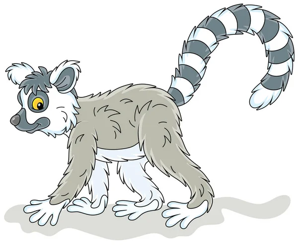 奇异的热带马达加斯加环尾狐猴行走 白色背景上孤立的病媒卡通画 — 图库矢量图片