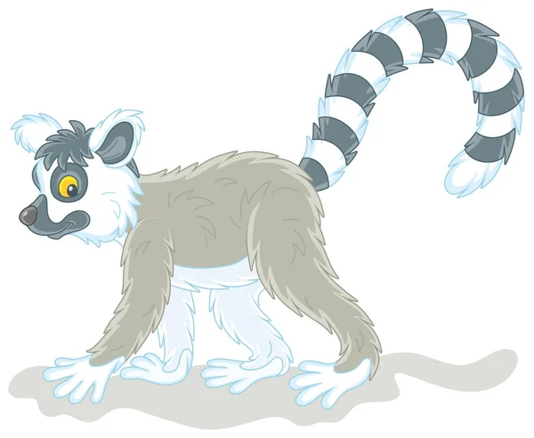 Exotic Tropical Madagascar Lemur Very Long Striped Tail Walking Vector — Stock vektor