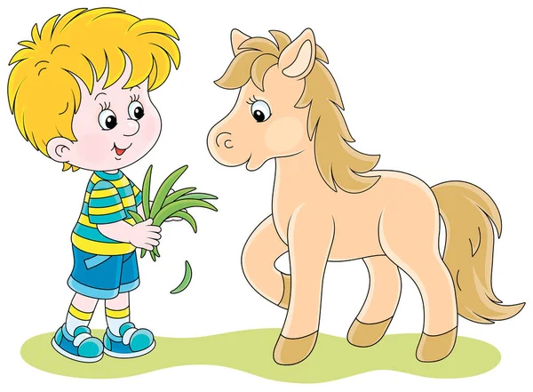 Happy Little Boy Feeding Cute Small Pony Fresh Grass Vector — Vetor de Stock