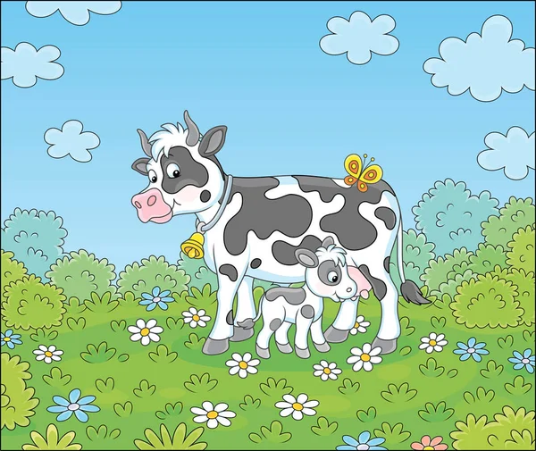 Vaca Manchada Feliz Lindo Ternero Bebiendo Leche Hierba Verde Campo — Vector de stock