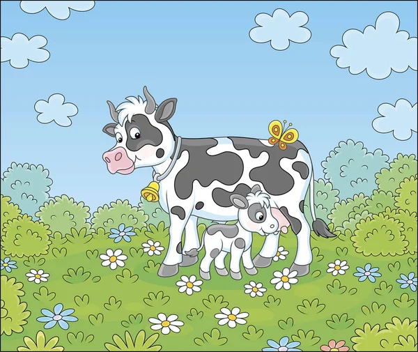 Щаслива Плямиста Корова Милий Маленький Теля Молоко Зеленій Траві Літнього Ліцензійні Стокові Вектори