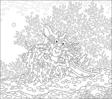 Güney denizinde tropikal bir resifte benekli kabuklu keşiş yengeci, bir boyama kitabı sayfası için siyah ve beyaz ana hatlı vektör çizimi