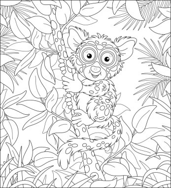 Komik küçük Filipinli tarsier, ağaçta yaşayan egzotik primat, çok büyük gözleri ve uzun bir kuyruğu olan, tropikal bir ormanda ağaç dalında oturan, siyah beyaz çizgili vektör karikatürü.