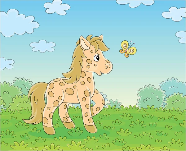Замеченный Милый Маленький Пони Играет Веселой Летящей Бабочкой Зеленой Траве — стоковый вектор