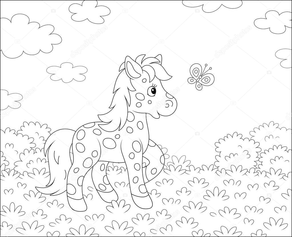 Spotted cute little pony playing with a merry flittering butterfly on a pretty summer field, black and white outline vector cartoon illustration for a coloring book page