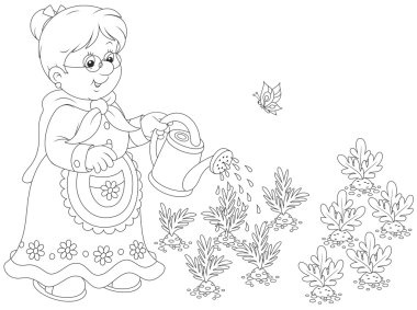 Büyükanne sulama sebze