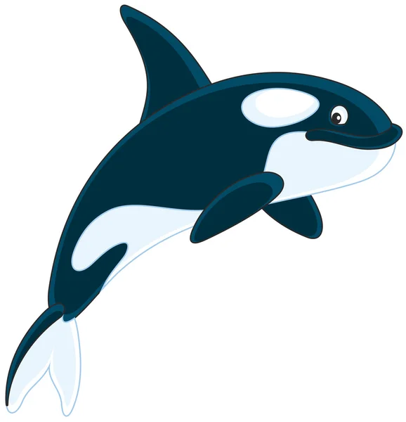 Mata ballenas nadando. — Vector de stock