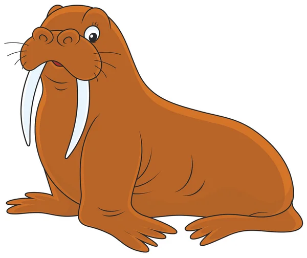 Walrus op een witte achtergrond — Stockvector