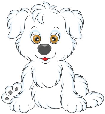 Şirin beyaz köpek.