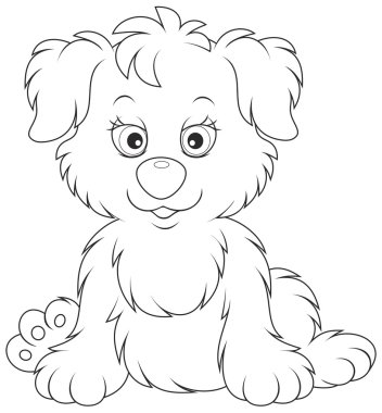 sevimli köpek yavrusu