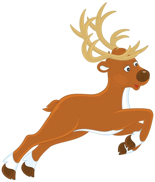 Young Reindeer running — Stock Vector